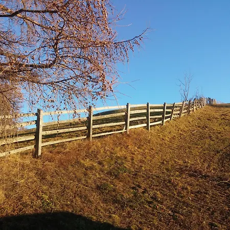 Daire Tiroler Alpenhof *