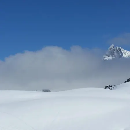 Daire Tiroler Alpenhof