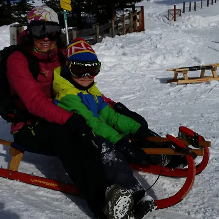 公寓 蒂罗尔阿尔卑霍夫公寓酒店 *