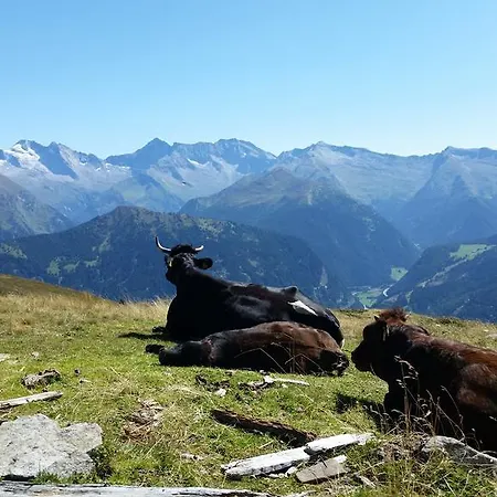 Tiroler Alpenhof 인스브루크
