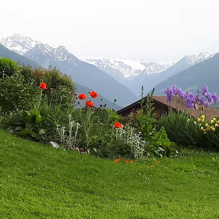 蒂罗尔阿尔卑霍夫公寓酒店