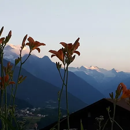 Tiroler Alpenhof Апартаменти