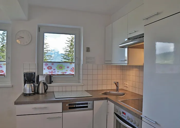 蒂罗尔阿尔卑霍夫公寓酒店 *