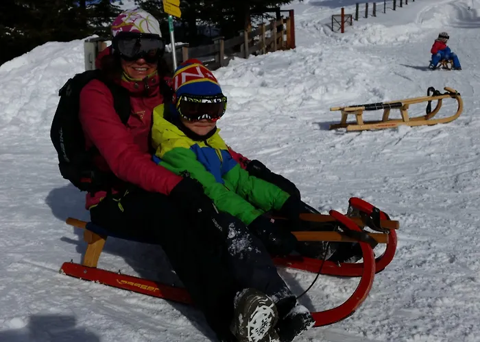 Appartement Tiroler Alpenhof *