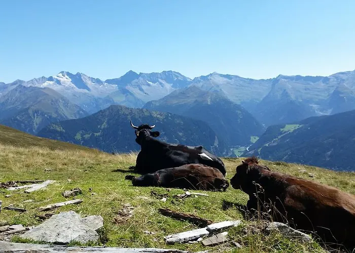 Tiroler Alpenhof Innsbruck