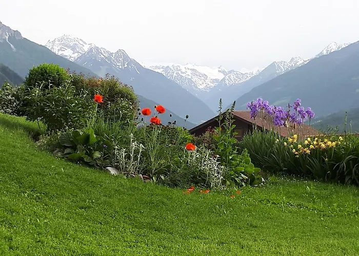 蒂罗尔阿尔卑霍夫公寓酒店