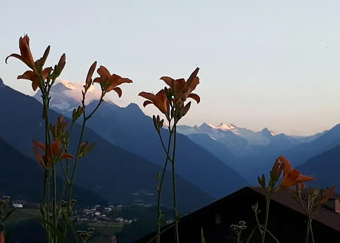 Tiroler Alpenhof Апартаменты